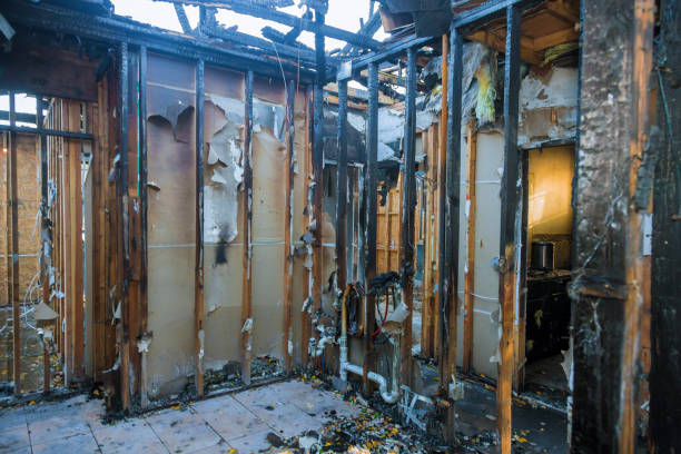 Professional Fire Damage Removal technician working in Brea, CA